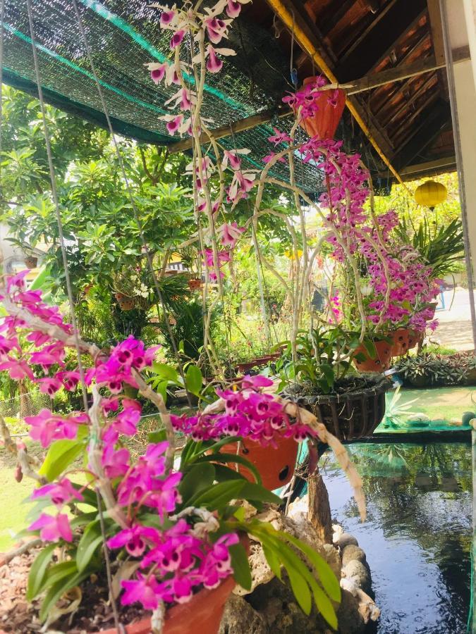 Do River Homestay Hoi An Esterno foto
