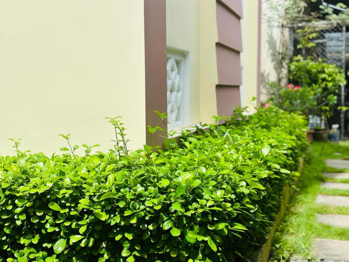 Do River Homestay Hoi An Esterno foto